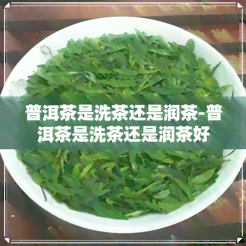 普洱茶是洗茶还是润茶-普洱茶是洗茶还是润茶好