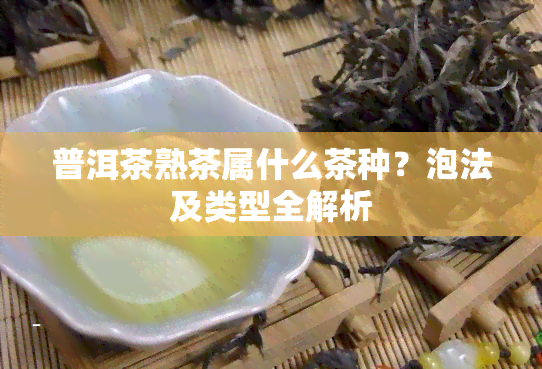 普洱茶熟茶属什么茶种？泡法及类型全解析