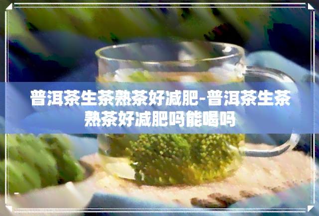 普洱茶生茶熟茶好减肥-普洱茶生茶熟茶好减肥吗能喝吗