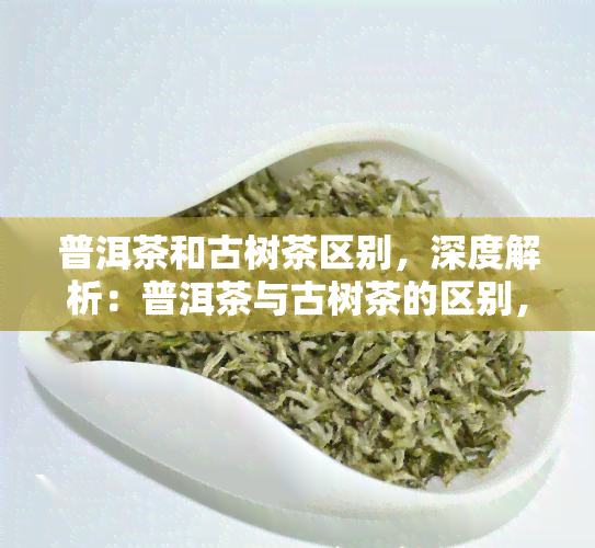 普洱茶和古树茶区别，深度解析：普洱茶与古树茶的区别，你了解吗？