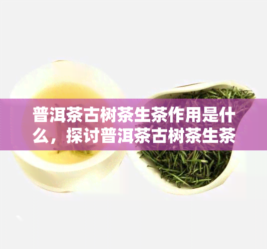 普洱茶古树茶生茶作用是什么，探讨普洱茶古树茶生茶的作用与功效