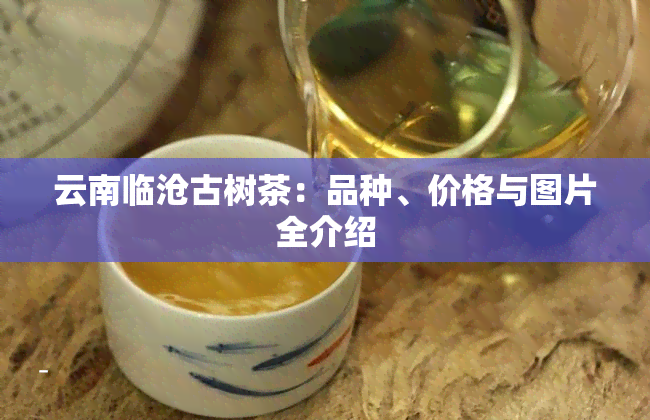 云南临沧古树茶：品种、价格与图片全介绍