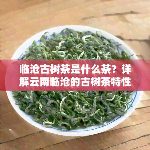 临沧古树茶是什么茶？详解云南临沧的古树茶特性与口感