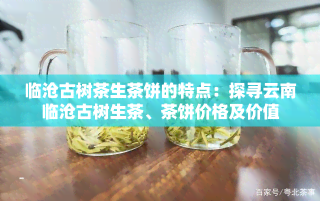 临沧古树茶生茶饼的特点：探寻云南临沧古树生茶、茶饼价格及价值