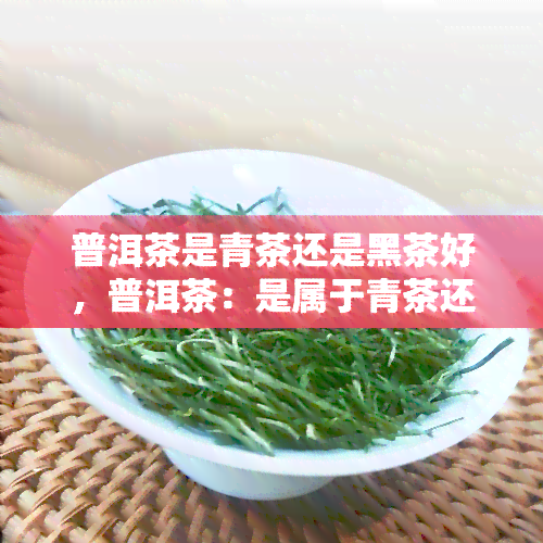 普洱茶是青茶还是黑茶好，普洱茶：是属于青茶还是黑茶？探讨其分类和特点