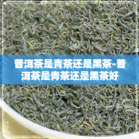 普洱茶是青茶还是黑茶-普洱茶是青茶还是黑茶好