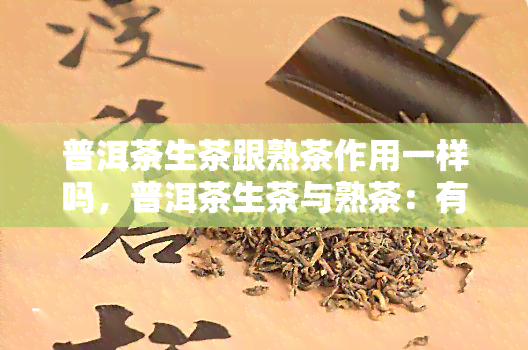 普洱茶生茶跟熟茶作用一样吗，普洱茶生茶与熟茶：有何不同？