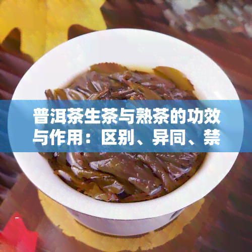 普洱茶生茶与熟茶的功效与作用：区别、异同、禁忌与全面解析