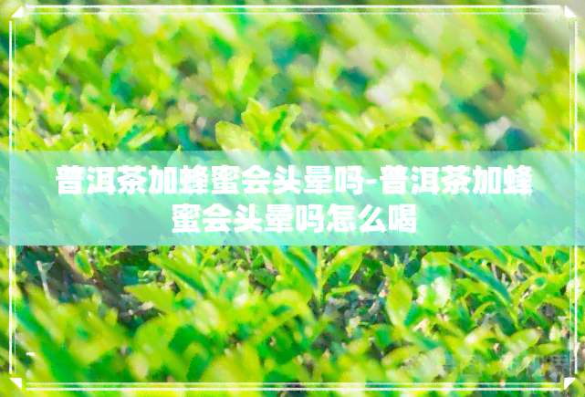 普洱茶加蜂蜜会头晕吗-普洱茶加蜂蜜会头晕吗怎么喝