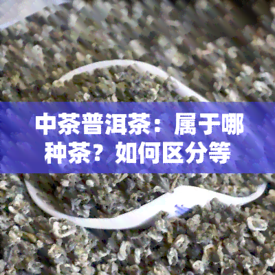 中茶普洱茶：属于哪种茶？如何区分等级与好坏？哪款？