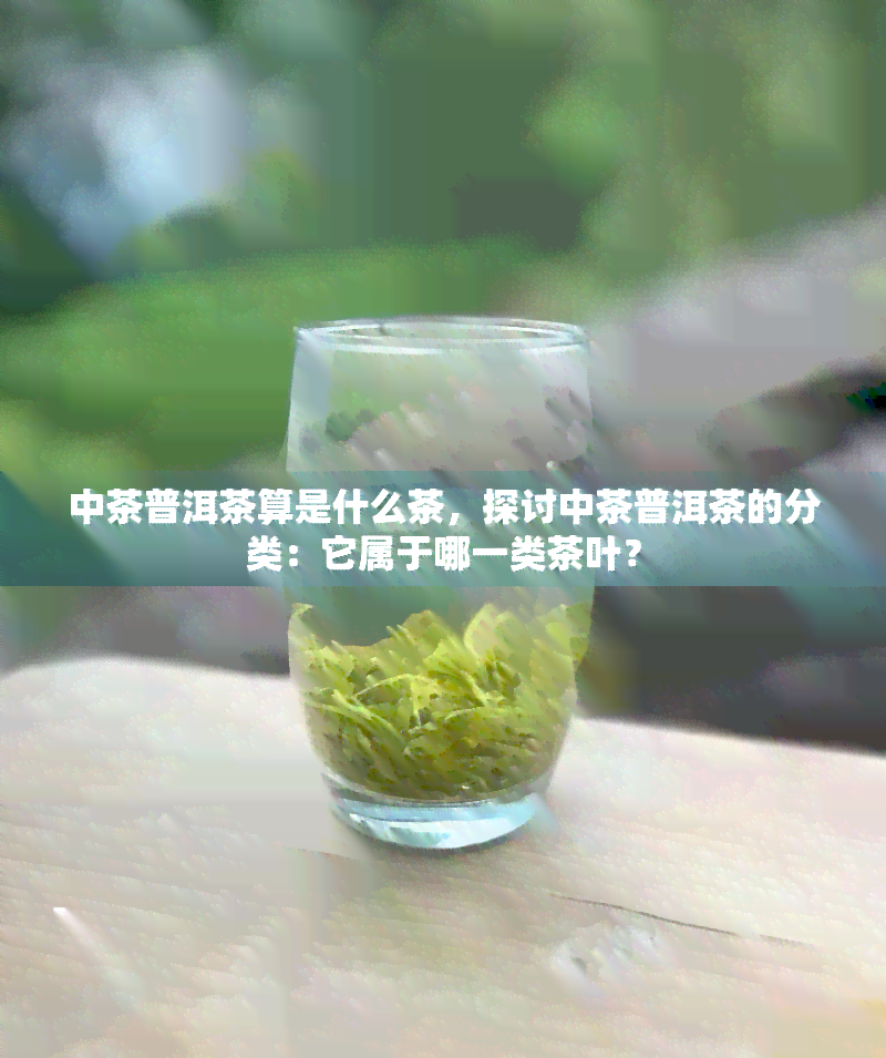 中茶普洱茶算是什么茶，探讨中茶普洱茶的分类：它属于哪一类茶叶？