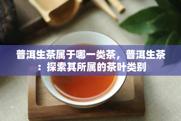 普洱生茶属于哪一类茶，普洱生茶：探索其所属的茶叶类别