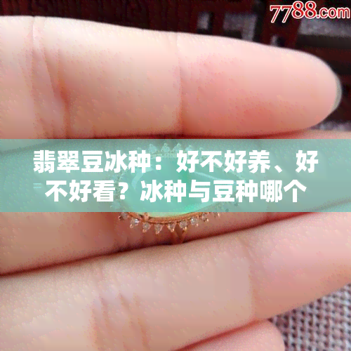 翡翠豆冰种：好不好养、好不好看？冰种与豆种哪个更好？冰豆种翡翠特点及图片展示