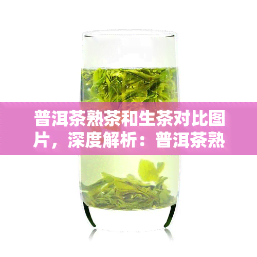 普洱茶熟茶和生茶对比图片，深度解析：普洱茶熟茶与生茶的视觉对比，一图读懂两种口感的差异