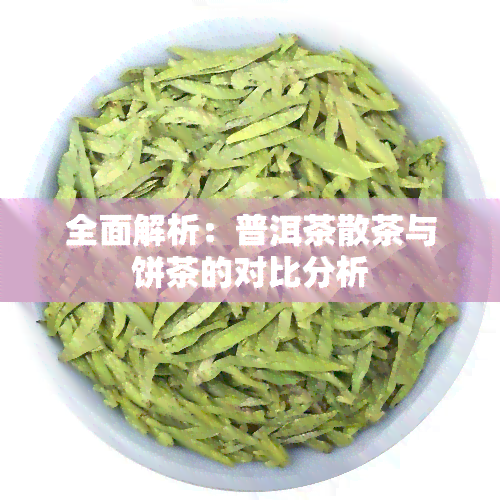 全面解析：普洱茶散茶与饼茶的对比分析