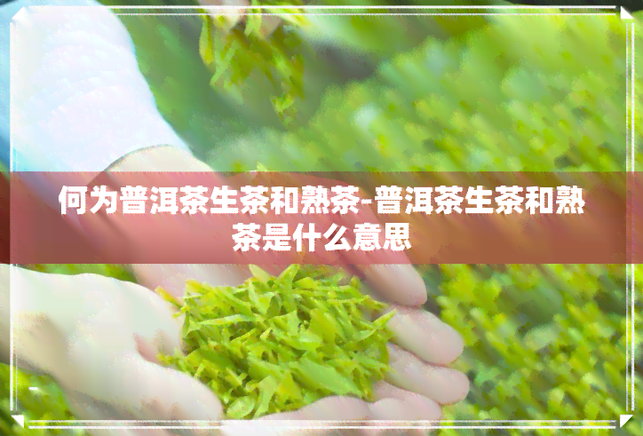 何为普洱茶生茶和熟茶-普洱茶生茶和熟茶是什么意思