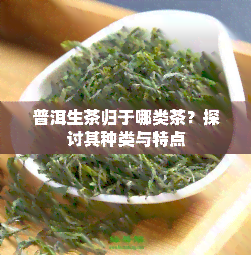 普洱生茶归于哪类茶？探讨其种类与特点