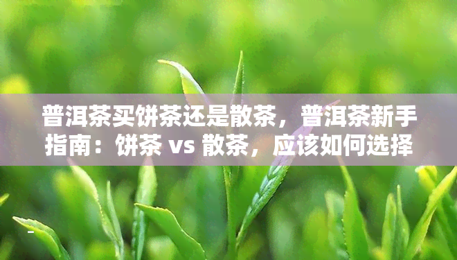 普洱茶买饼茶还是散茶，普洱茶新手指南：饼茶 vs 散茶，应该如何选择？