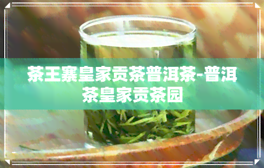 茶王寨皇家贡茶普洱茶-普洱茶皇家贡茶园