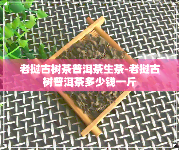 老挝古树茶普洱茶生茶-老挝古树普洱茶多少钱一斤