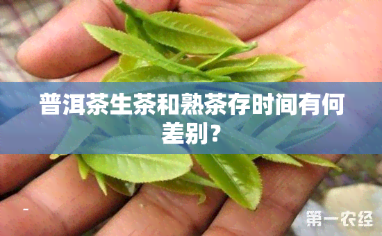 普洱茶生茶和熟茶存时间有何差别？