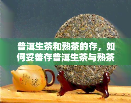 普洱生茶和熟茶的存，如何妥善存普洱生茶与熟茶？一份全面的藏指南