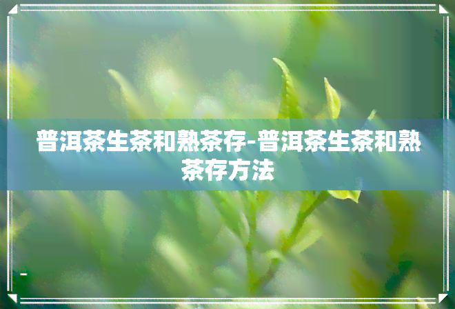 普洱茶生茶和熟茶存-普洱茶生茶和熟茶存方法