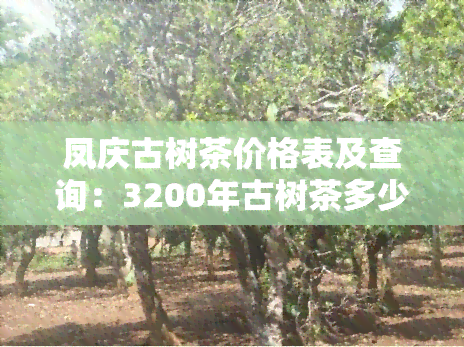 凤庆古树茶价格表及查询：3200年古树茶多少钱？云南凤庆古树茶最新价目一览