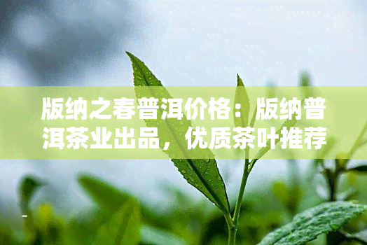 版纳之春普洱价格：版纳普洱茶业出品，优质茶叶推荐！探究版纳产区普洱茶香气特点及著名茶山。同时，了解版纳风情普洱茶系列，品味独特口感。