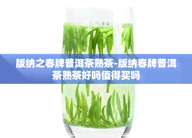 版纳之春牌普洱茶熟茶-版纳春牌普洱茶熟茶好吗值得买吗