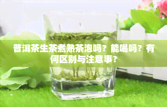 普洱茶生茶煮熟茶泡吗？能喝吗？有何区别与注意事？