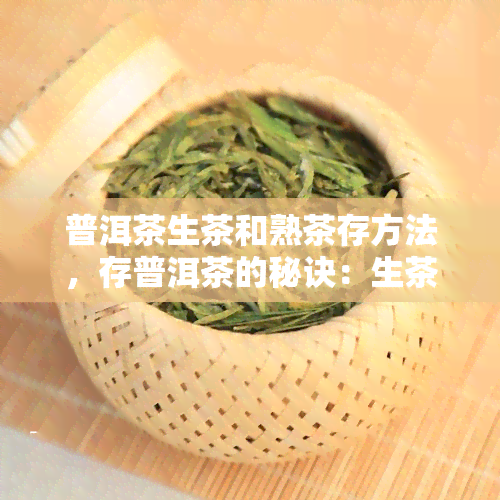 普洱茶生茶和熟茶存方法，存普洱茶的秘诀：生茶与熟茶的区别与方法