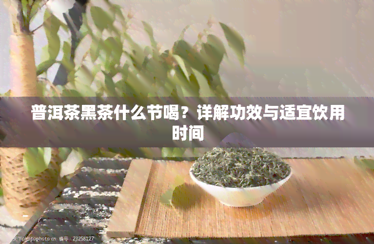 普洱茶黑茶什么节喝？详解功效与适宜饮用时间