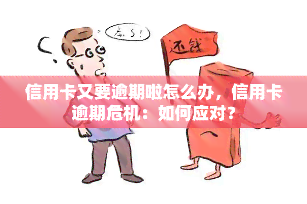 信用卡又要逾期啦怎么办，信用卡逾期危机：如何应对？