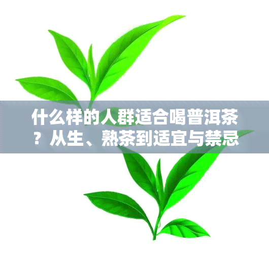 什么样的人群适合喝普洱茶？从生、熟茶到适宜与禁忌的人群解析