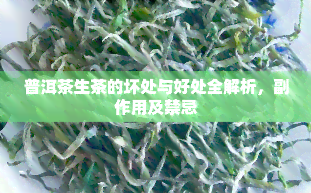 普洱茶生茶的坏处与好处全解析，副作用及禁忌