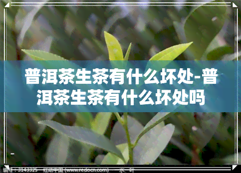 普洱茶生茶有什么坏处-普洱茶生茶有什么坏处吗