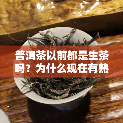 普洱茶以前都是生茶吗？为什么现在有熟茶？它们的区别是什么？