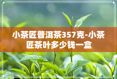 小茶匠普洱茶357克-小茶匠茶叶多少钱一盒