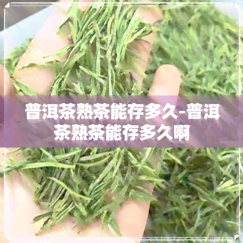 普洱茶熟茶能存多久-普洱茶熟茶能存多久啊