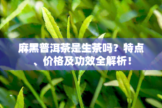 麻黑普洱茶是生茶吗？特点、价格及功效全解析！