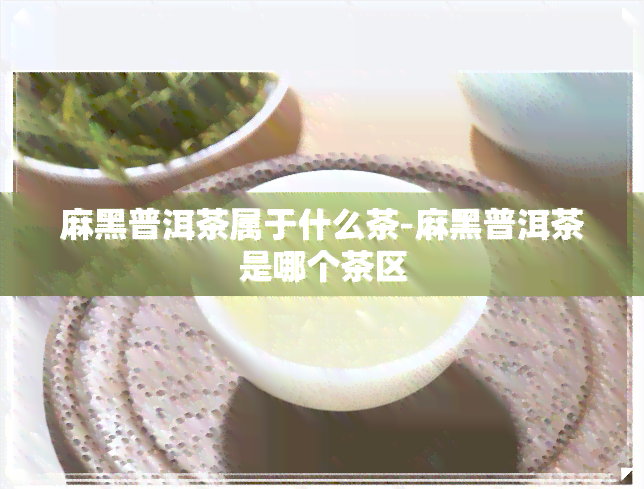 麻黑普洱茶属于什么茶-麻黑普洱茶是哪个茶区