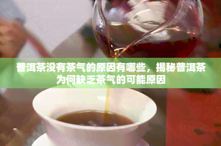 普洱茶没有茶气的原因有哪些，揭秘普洱茶为何缺乏茶气的可能原因