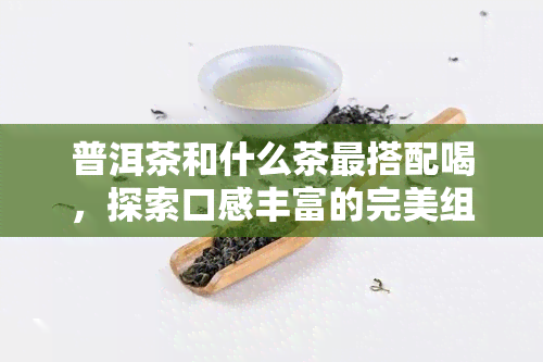 普洱茶和什么茶最搭配喝，探索口感丰富的完美组合：普洱茶与什么茶最搭配？