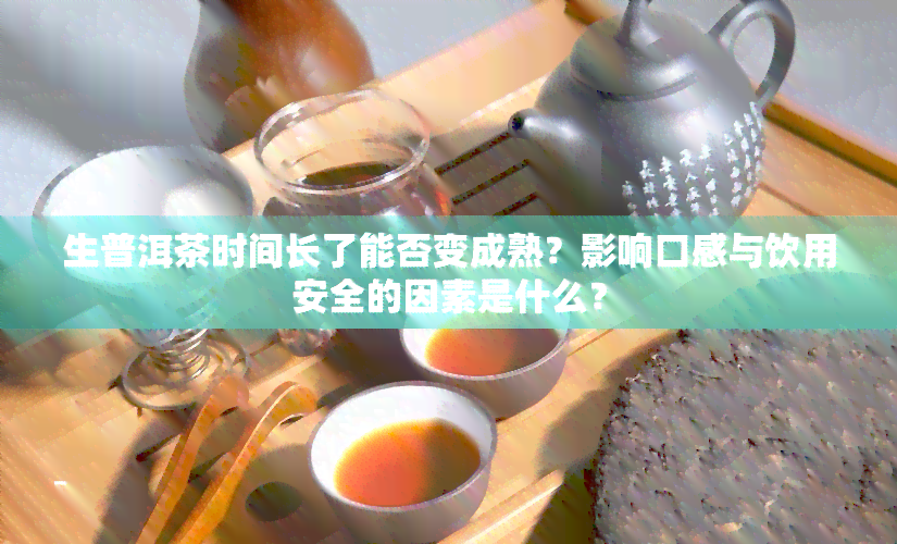 生普洱茶时间长了能否变成熟？影响口感与饮用安全的因素是什么？