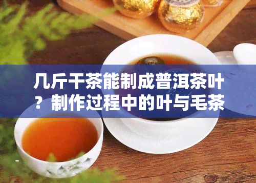 几斤干茶能制成普洱茶叶？制作过程中的叶与毛茶比例又是多少？