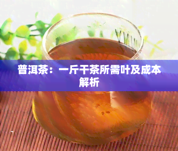 普洱茶：一斤干茶所需叶及成本解析