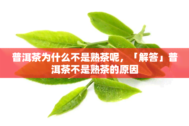 普洱茶为什么不是熟茶呢，「解答」普洱茶不是熟茶的原因