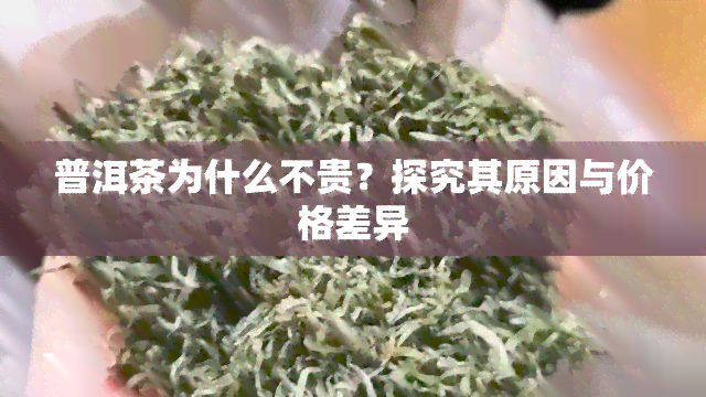 普洱茶为什么不贵？探究其原因与价格差异