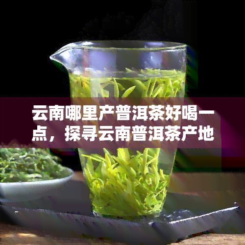 云南哪里产普洱茶好喝一点，探寻云南普洱茶产地：哪个地方的茶喝？